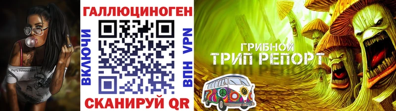 KRAKEN маркетплейс Рославль Псилоцибиновые грибы Cubensis